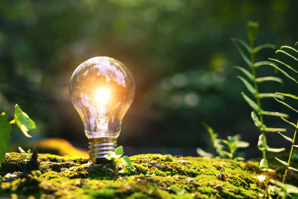 Électricité verte locale : pourquoi le choix du fournisseur change tout ? 3 Une ampoule allumée entourée de nature, illustrant la propreté et la durabilité de l'électricité verte locale.