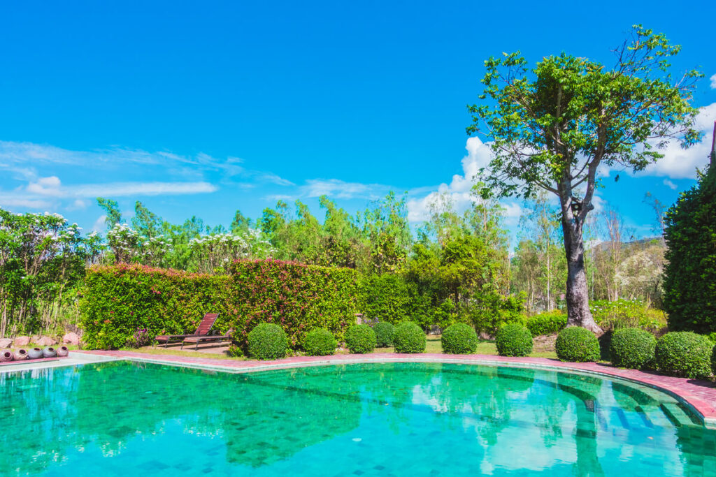 Un jardin contemporain avec piscine intégrée et végétation paysagée harmonieuse.