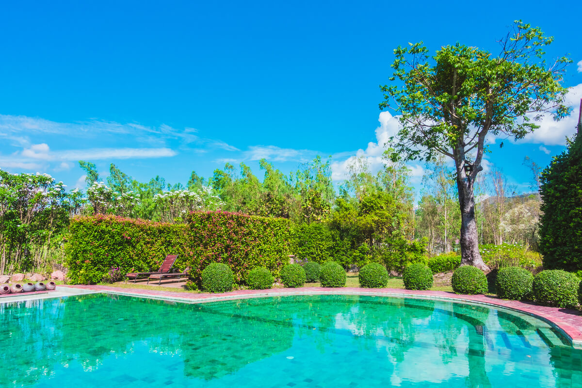 Un jardin contemporain avec piscine intégrée et végétation paysagée harmonieuse.