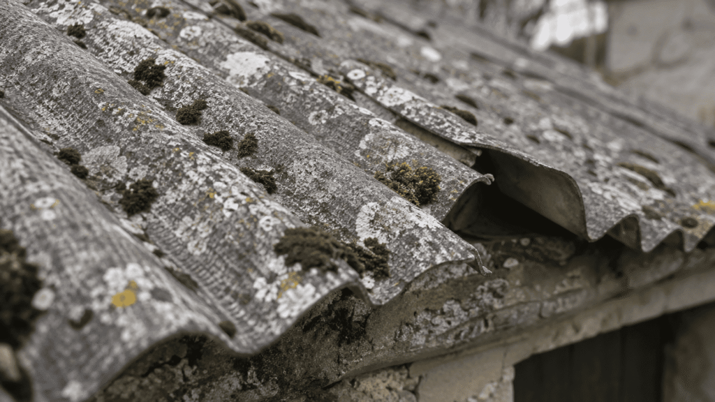 Reconnaître une plaque fibro-ciment amiante : 5 indices 2 Toiture ancienne d'un abri de jardin couverte de plaques ondulées en fibro-ciment gris.