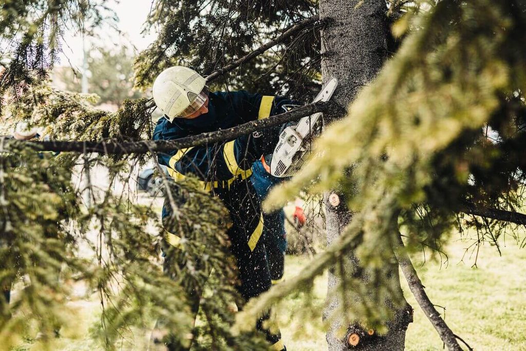 Élaguer ou abattre un arbre près d'une maison en automne 3