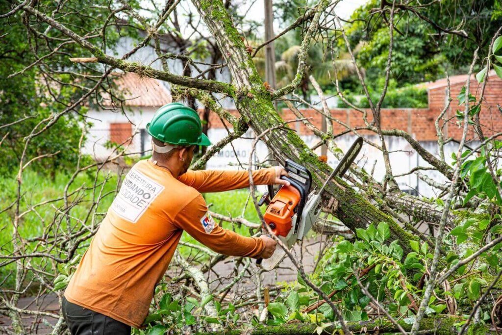 Élaguer ou abattre un arbre près d'une maison en automne 2 Professionnel équipé d'un harnais taillant les branches d'un grand arbre menaçant le toit d'une maison en automne.